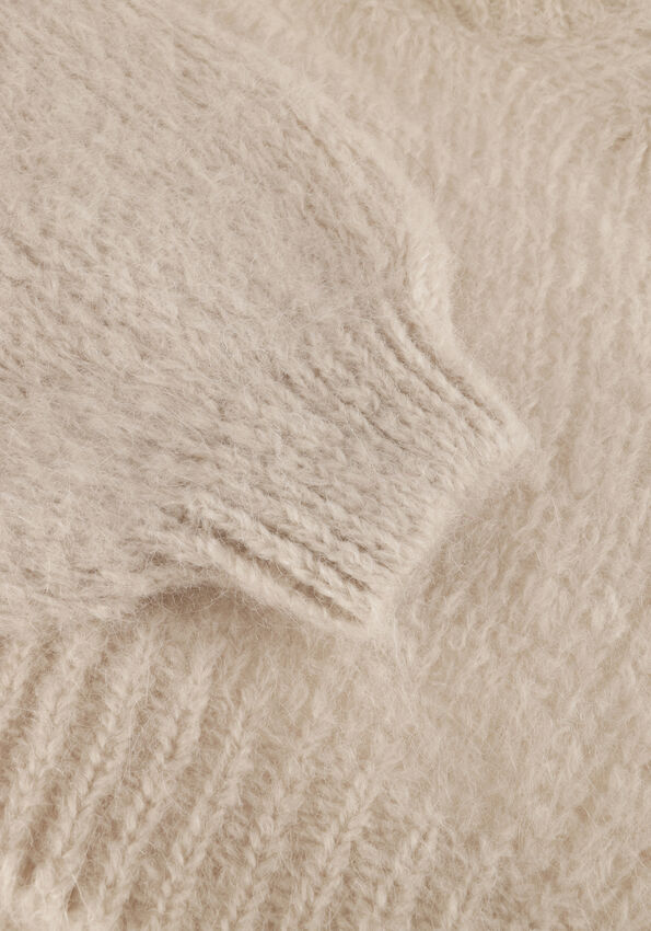AMERICAN DREAMS Pepper Roll Neck Cropped Knit