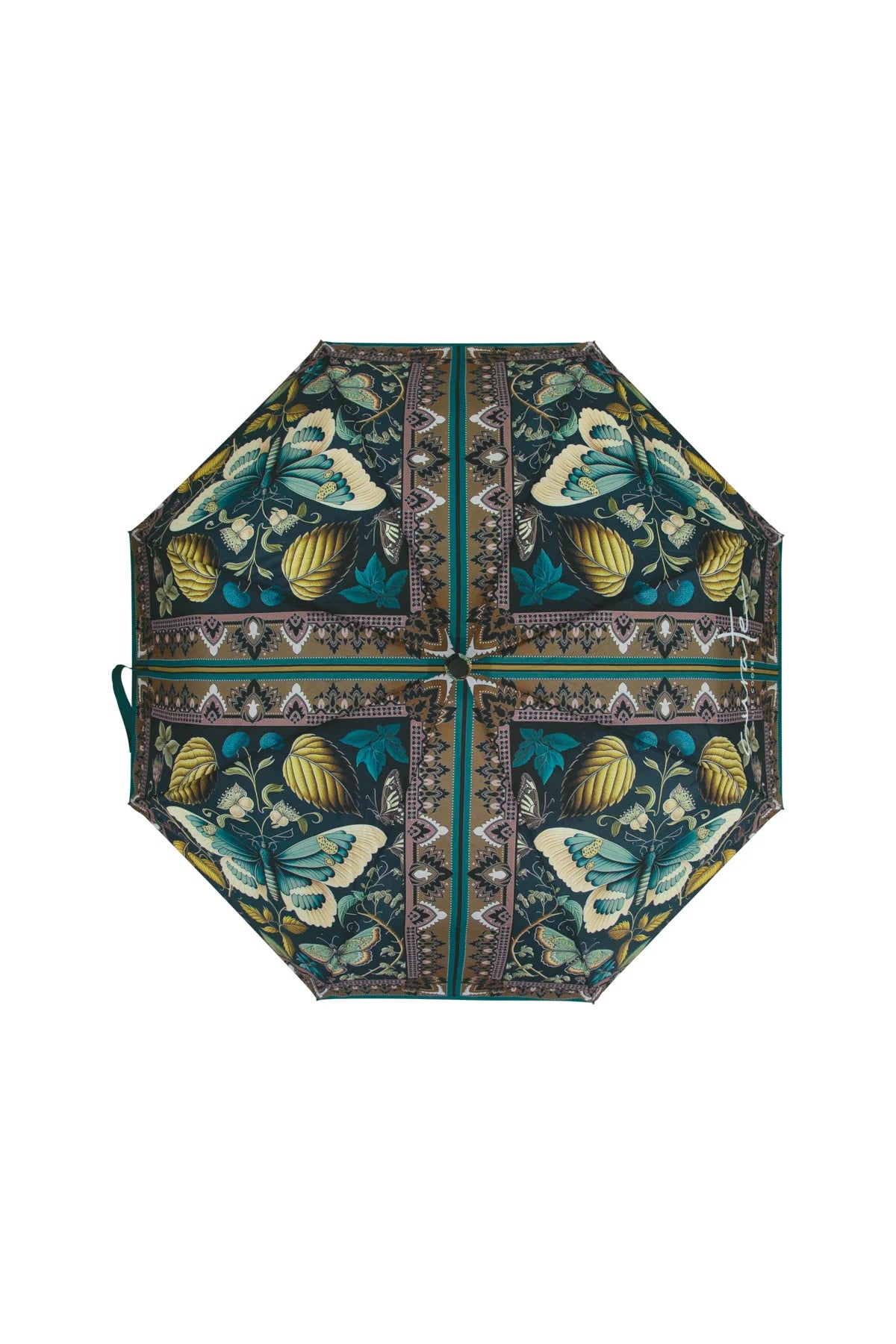 CURATE Umbrella Moth