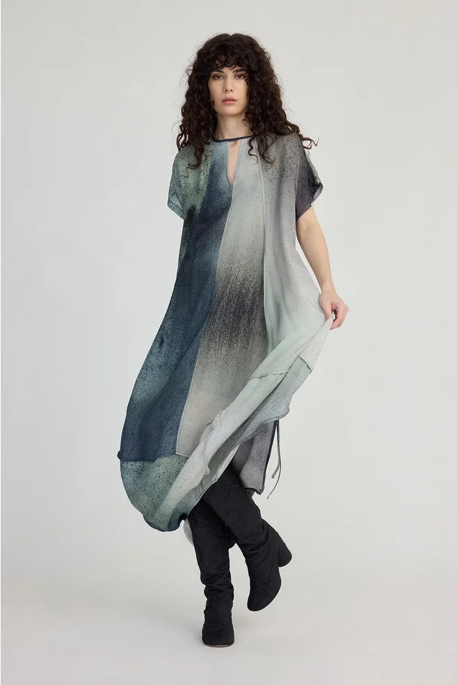 TAYLOR Ozone Dress/Wind Particle Print