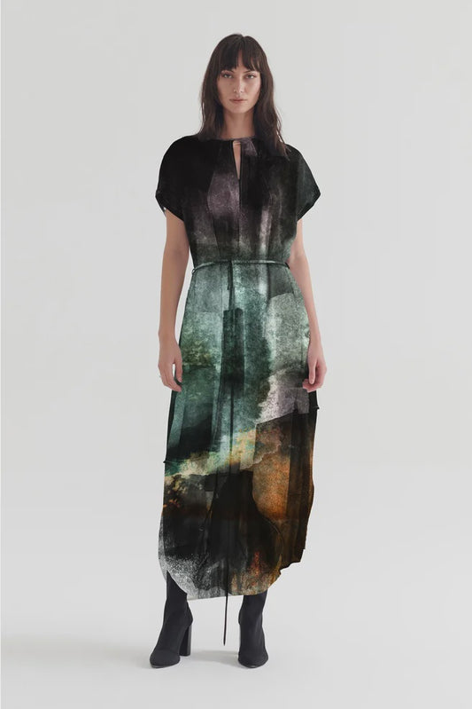 TAYLOR Ozone Dress/Ink Print