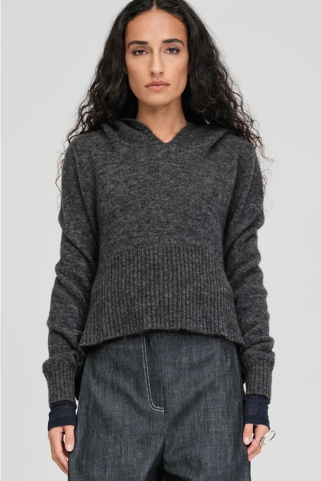 TAYLOR Contrast Perspective Hoodie