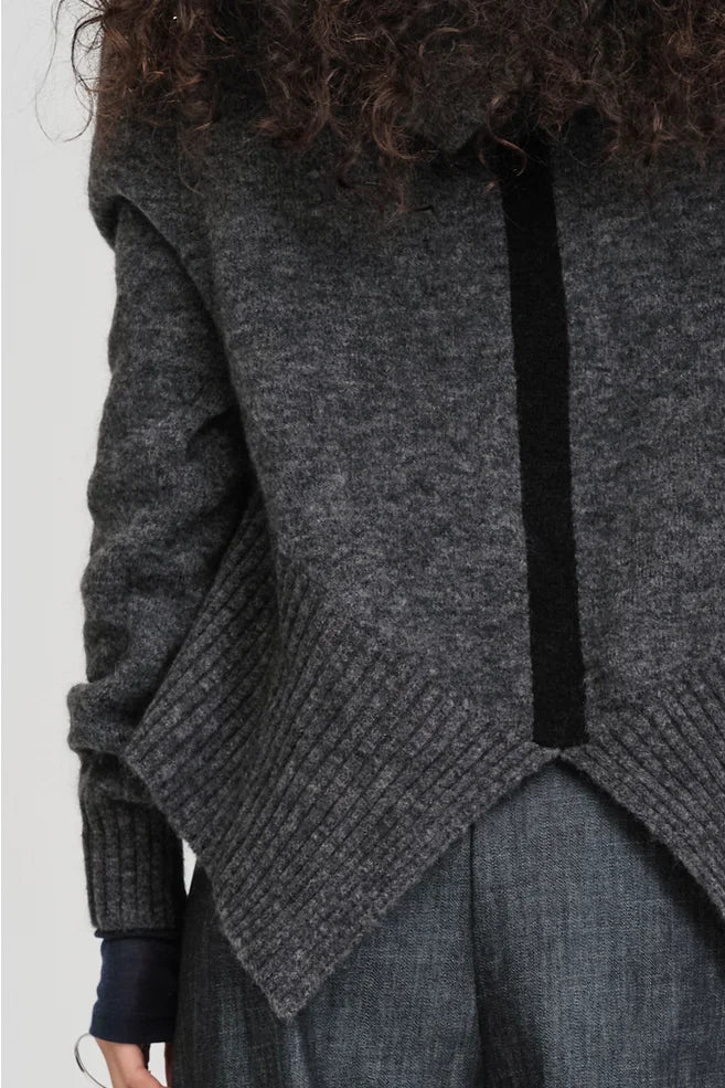 TAYLOR Contrast Perspective Hoodie